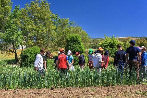 Educación Ambiental transformadora: principios y claves didácticas Educación Ambiental transformadora: principios y claves didácticas