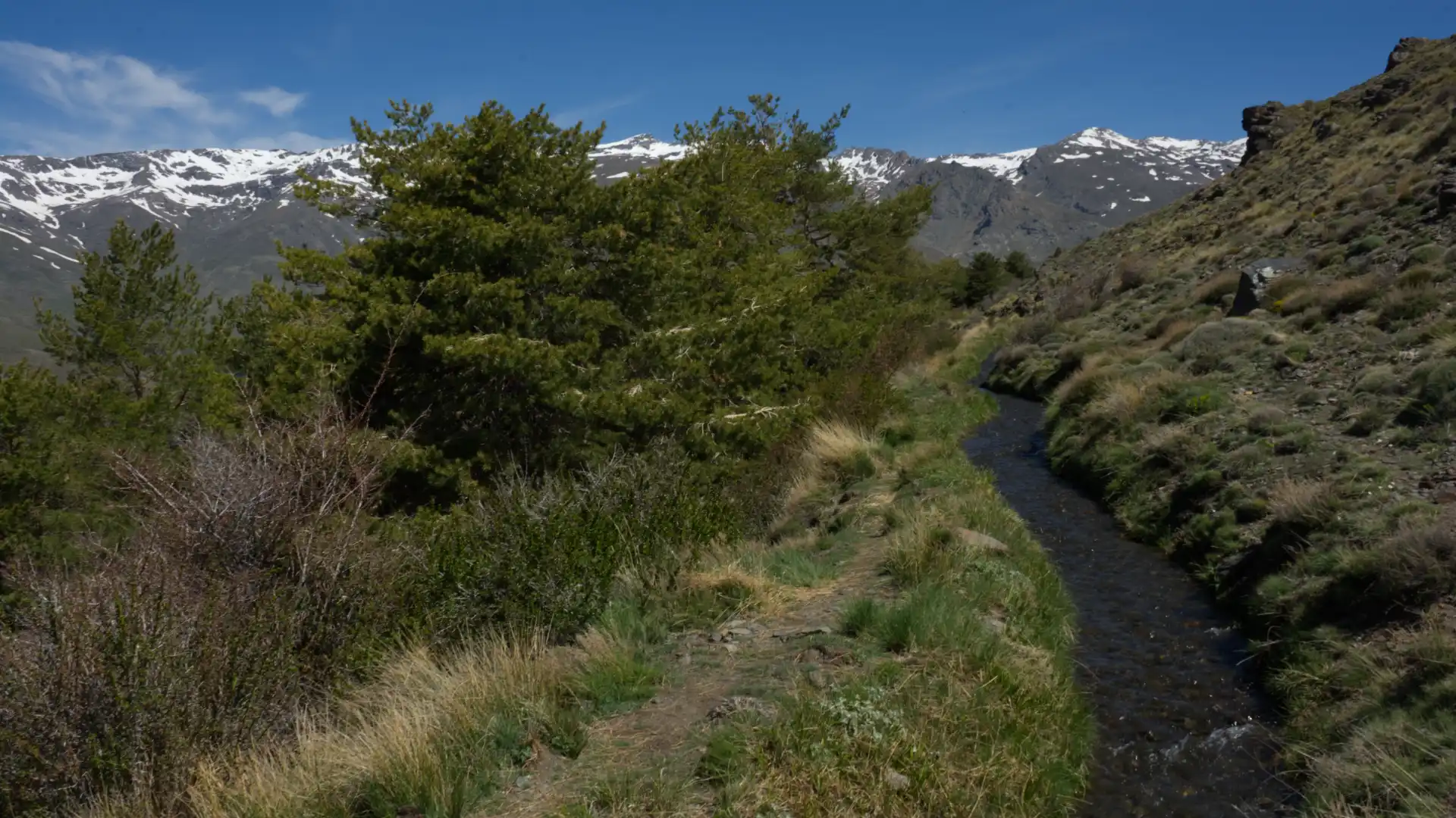 El entorno natural que rodea el aula de naturaleza Ermita Vieja El entorno natural que rodea el aula de naturaleza Ermita Vieja