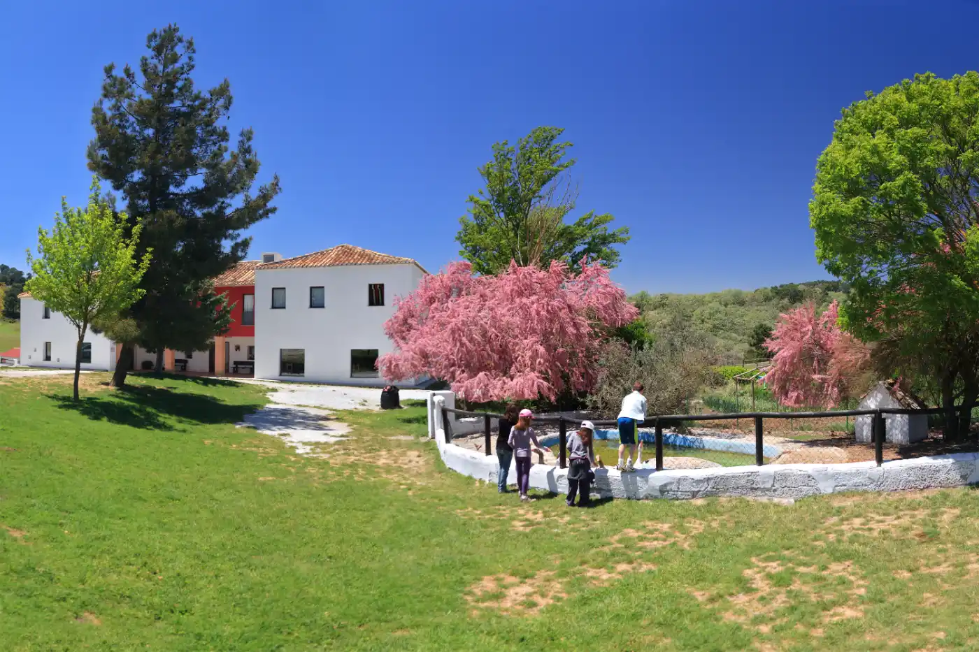 Aula Virtual Aula Virtual