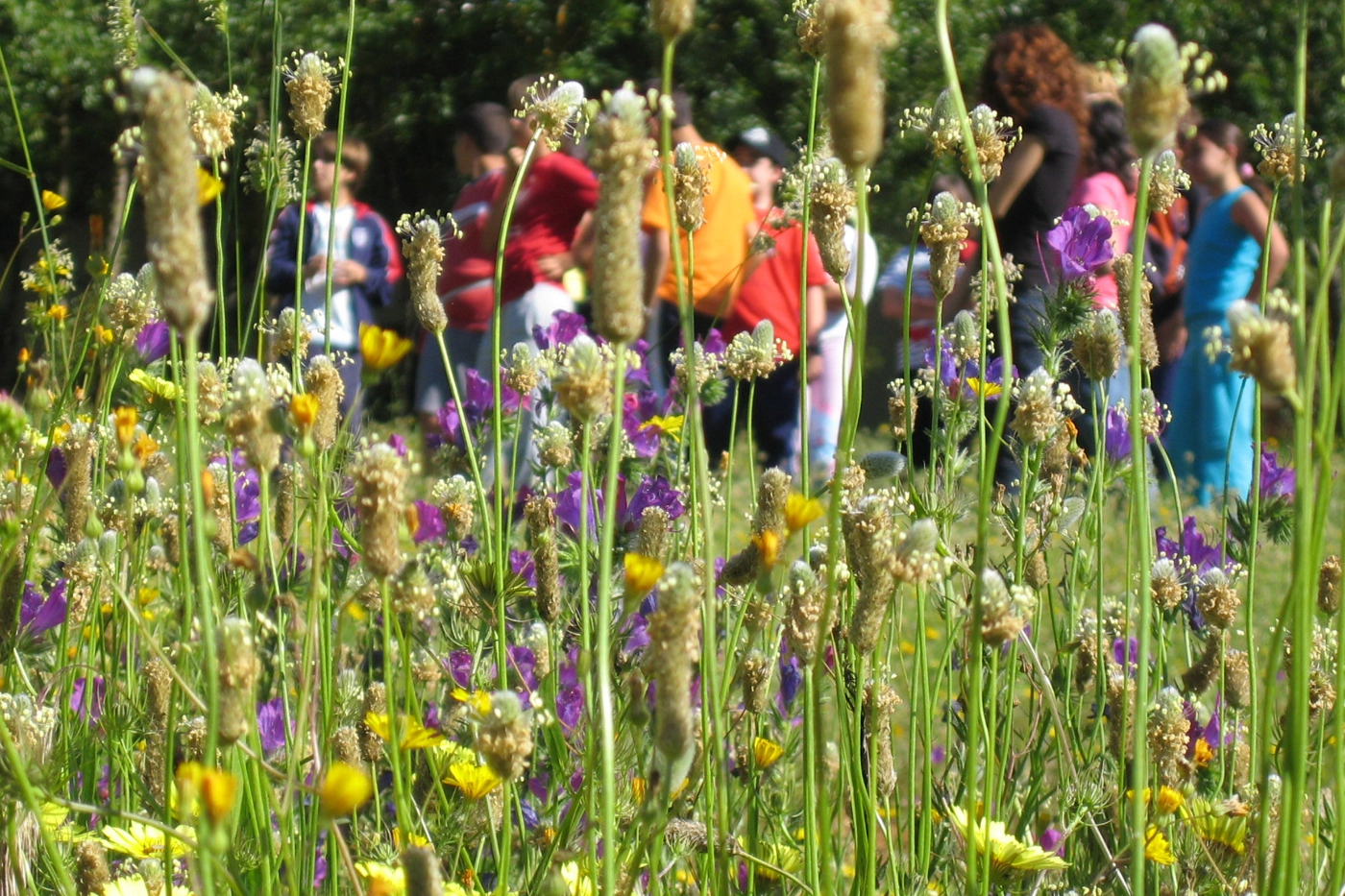 Escuela de Formación Huerto Alegre: Cursos Online Escuela de Formación Huerto Alegre: Cursos Online
