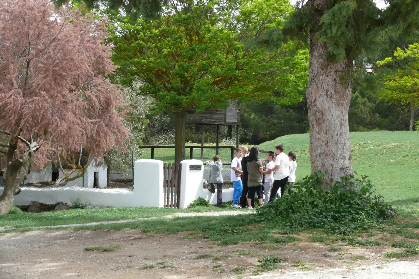 20250924-cursos-online-portada Granja Escuela Huerto Alegre